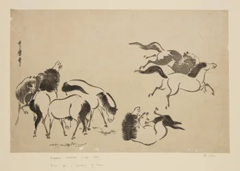 Caballos