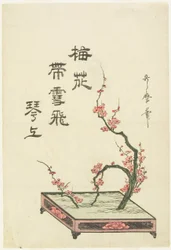Arreglo ikebana de una rama de ciruelo