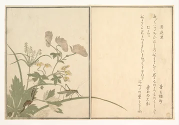 Saltamontes verde (Umaoi-mushi); ciempiés (Mukade), del Libro ilustrado de criaturas rastreras (Ehon mushi erami)
