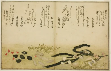 Minashi-gai, shio-gai, katatsu-gai, miso-gai, chijimi-gai y chigusa-gai, del libro ilustrado "Regalos de la marea baja (Shiohi no tsuto)"