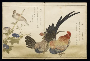 P.332-1946 vol. 1 f. 8 Gallo y gallina a la derecha con un escribano a la izquierda, de un álbum «Aves comparadas en canciones humorísticas» («Momo Chidori Kyoka Awase»), 1791