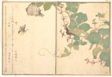 Avispa papelera (Hachi); oruga peluda (Kemushi), del Libro ilustrado de criaturas reptantes (Ehon mushi erami)