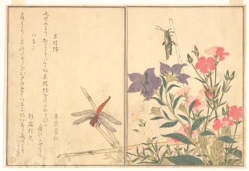 Libélula roja (Akatonbo); langosta (Inago), del Libro ilustrado de criaturas reptantes (Ehon mushi erami)
