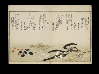 Shiohi no tsuto (Regalos de la Marea Baja), conocido como el Libro de las Conchas, 1789