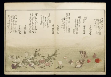 Shiohi no tsuto (Regalos de la Marea Baja), conocido como el Libro de las Conchas, 1789