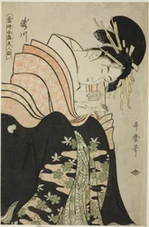 Takigawa, de la serie "Conjunto de bellezas supremas del día presente (Toji zensei bijin zoroe)"