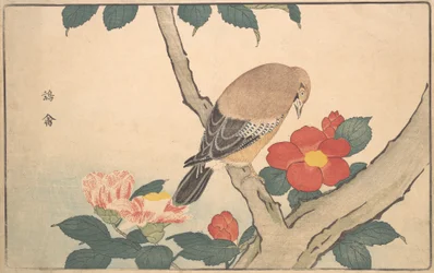 Camelias con un pájaro, 1789