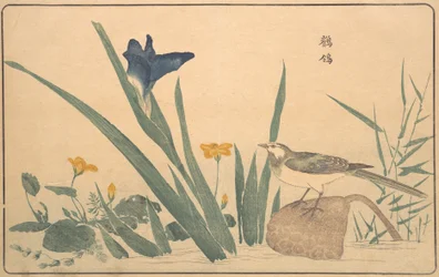 La Lavandera Blanca, 1789