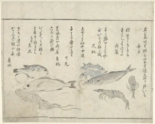 Animales marinos