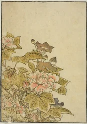 Flores de otoño: Peonías y campanillas, del libro "Espejo de mujeres hermosas de los barrios de placer"