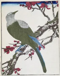 Pájaro en un árbol. Dibujo japonés de Kitao Kosuisai
