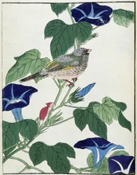 Pájaro en un árbol. Dibujo japonés de Kitao Kosuisai