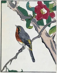 Dibujo japonés de Kitao Kosuisai