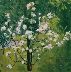Árbol en flor, c.1913 (óleo sobre lienzo)