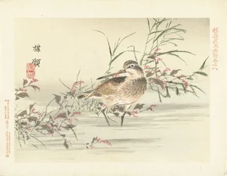 recorte Bosquejos de flores y pájaros de Bairei (título de la serie) Barei kacho gafu (título de la serie sobre el objeto)