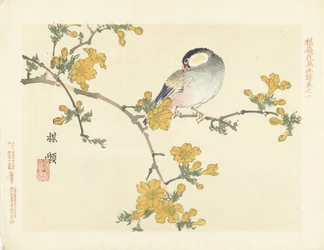 Pájaro cantor en rama floreciente Bosquejos de flores y pájaros de Bairei (título de la serie) Barei kacho gafu (título de la serie sobre el objeto)