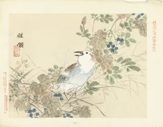 Pájaro cantor entre pastos de otoño Bosquejos de flores y pájaros de Bairei (título de la serie) Barei kacho gafu (título de la serie sobre el objeto)