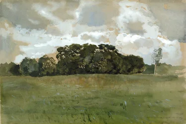 Paisaje con nubes grises