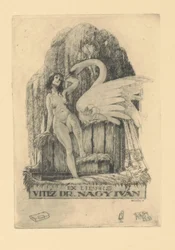 Ex libris es de Iván Nagy Ex libris valiente dr. Iván Nagy (título sobre objeto)