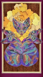 Flor de Sphynx de colores