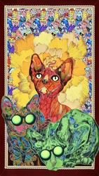 Gatos Sphynx de colores