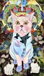 Gato encantado con mariposas