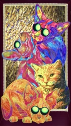 Gatos con gafas molonas