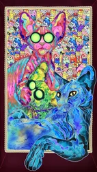 La familia de los gatos psicodélicos