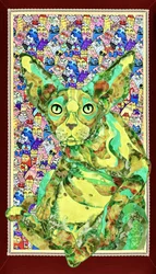Un gato Sphynx lleno de vida