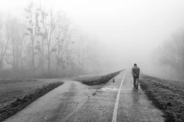 Decisiones en Misty Road