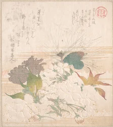 Flores de cerezo y piñas