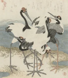 Grullas junto al agua, c.1816