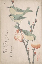 Zosteropes japoneses en una rama de melocotonero, de la serie Una reunión de pájaros (Tori awase), del álbum de surimono Lluvia de primavera (Harusame surimono-jō, vol. 3)
