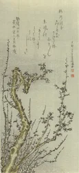 Viejo ciruelo, 1796