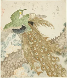 Pavo real, pino y peonías, de la serie "Un conjunto de tres pétalos (San hira no uchi)"