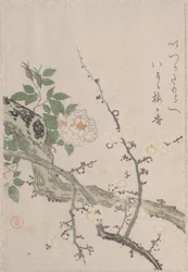Rosas y flores de ciruelo