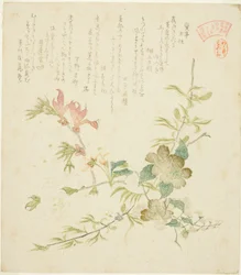 Varias flores de primavera, de la serie "Plantas y árboles de primavera para el círculo de poesía Kasumi del grupo Yomo"