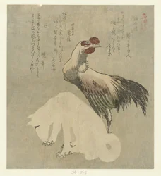 Gallo y perro