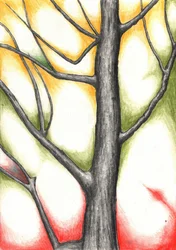 El resplandor de los árboles en otoño