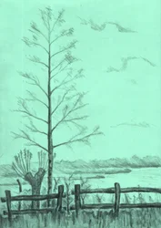 Paisaje con árboles desnudos