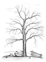 Árbol desnudo en invierno