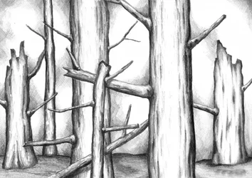 Dibujo del Bosque Yermo