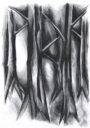 Bosque oscuro y misterioso