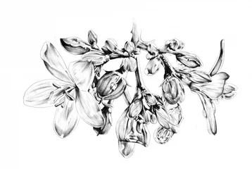 Dibujo floral delicado
