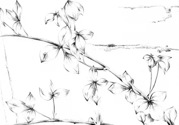Delicada enredadera floral