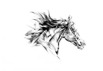 Flujo dinámico de caballos