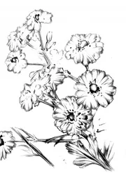 Elegante dibujo floral