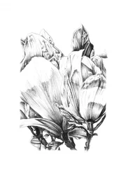 Elegante estudio floral