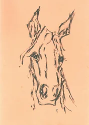 Elegante boceto de una cabeza de caballo