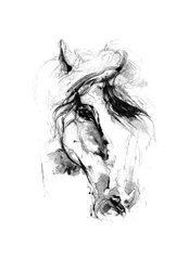 Boceto expresivo de un caballo